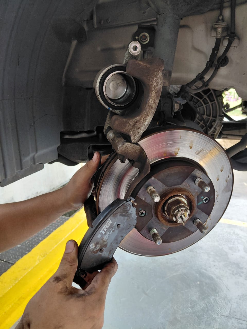 Galeri Autohaus – Taman Seraya, Shell Lubebay
